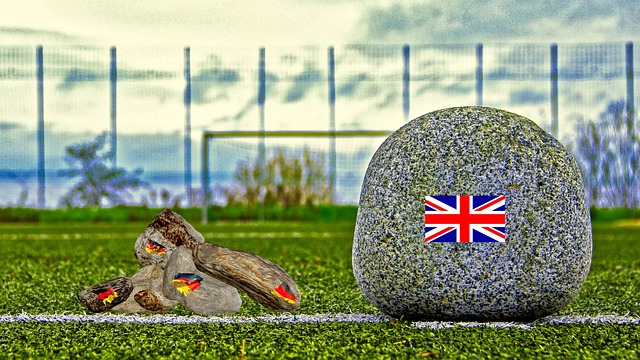 的新高度 的新高度