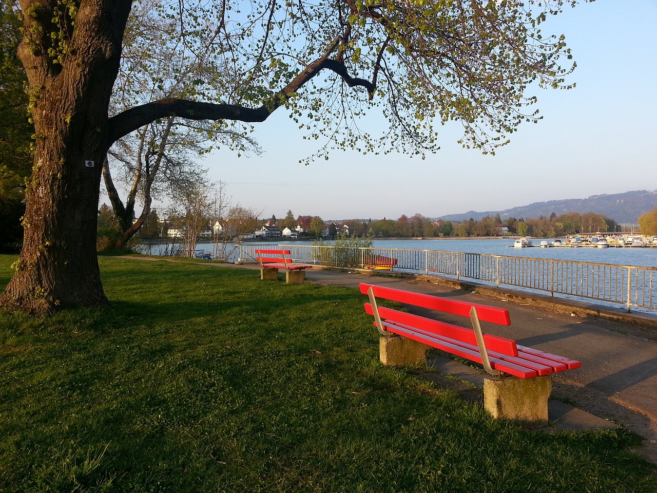 都是展示实 都是展示实