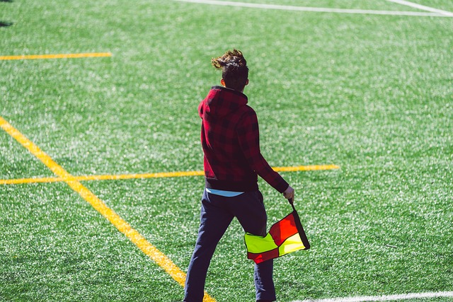 毛球的未来 毛球的未来