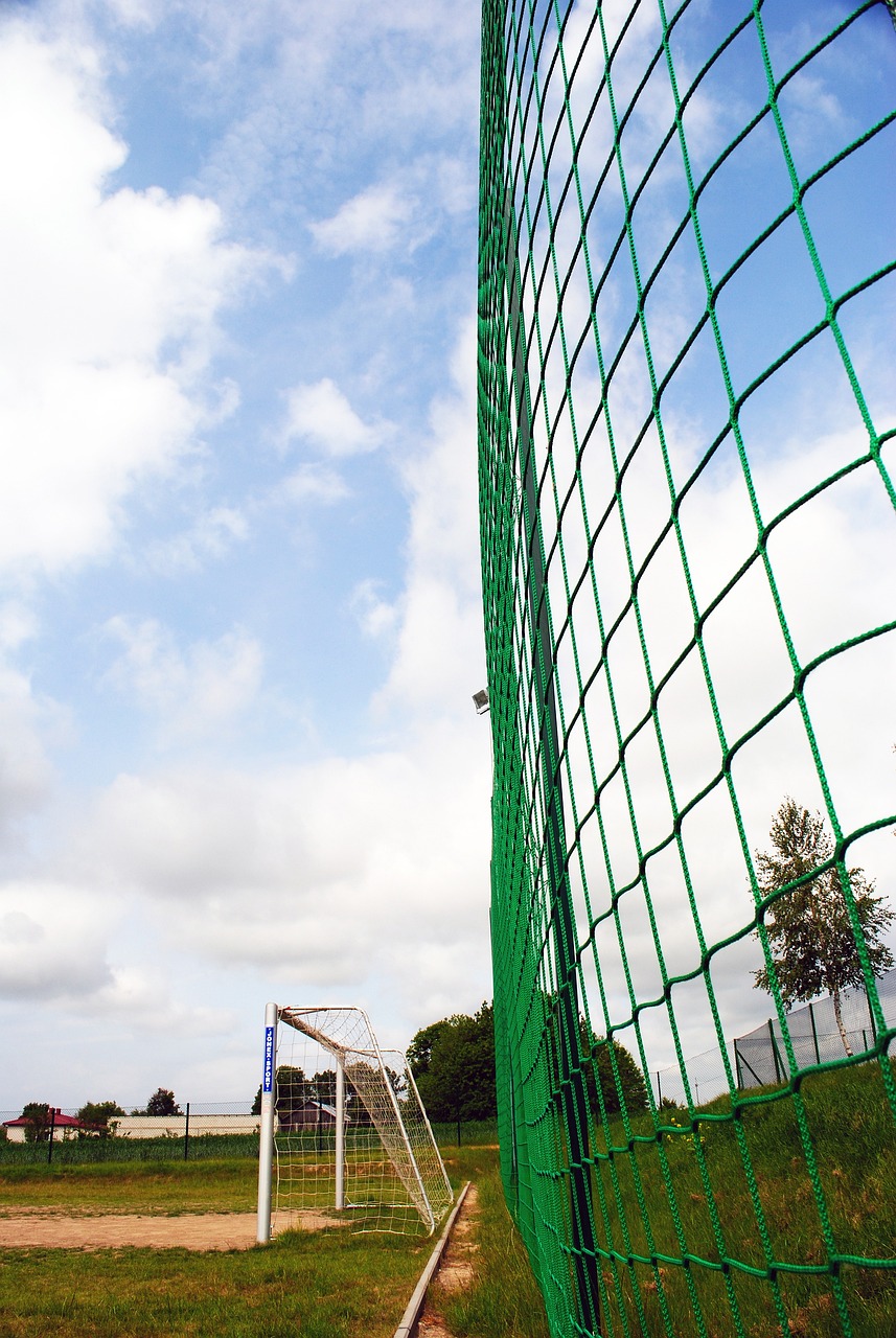 传奇致敬的 传奇致敬的