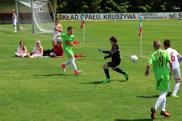 在全联盟范 在全联盟范