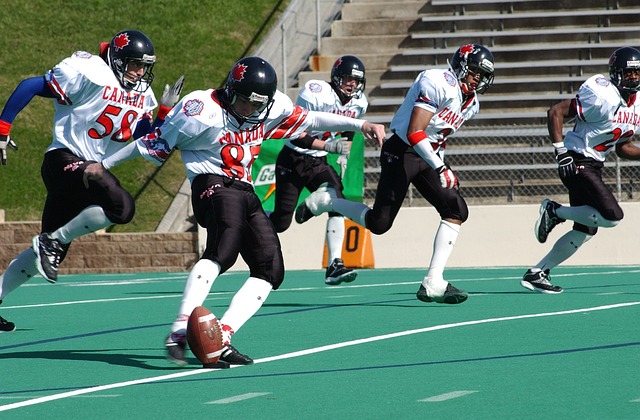 的职业生涯 的职业生涯